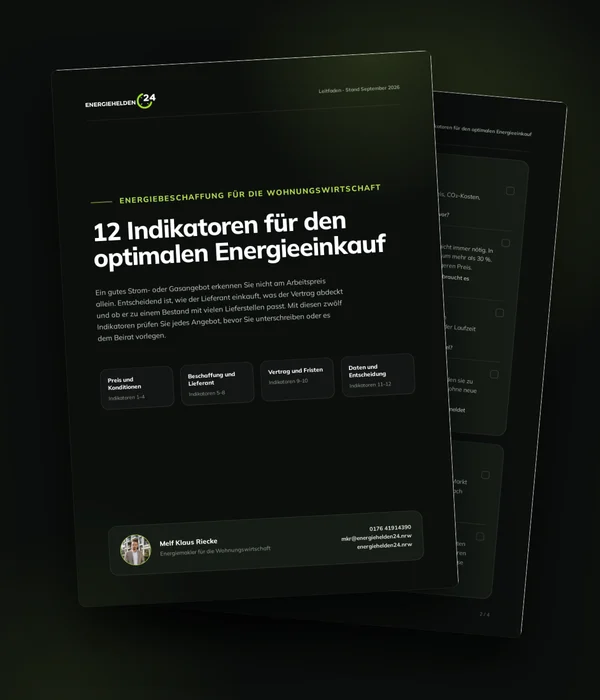 Vorschau des Leitfadens „12 Indikatoren für den optimalen Energieeinkauf“